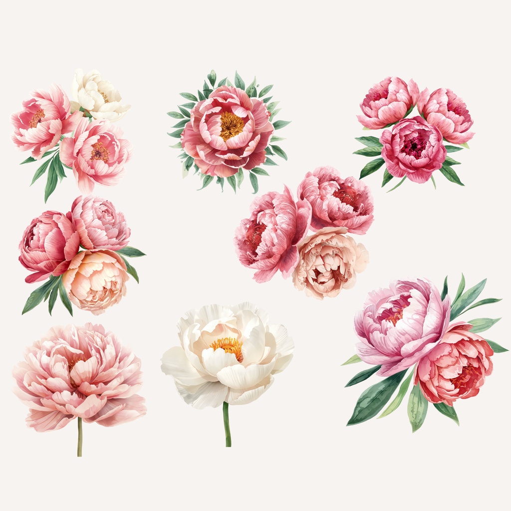 Peony Collection|水彩ピオニークリップアート120点|PNG透過素材集