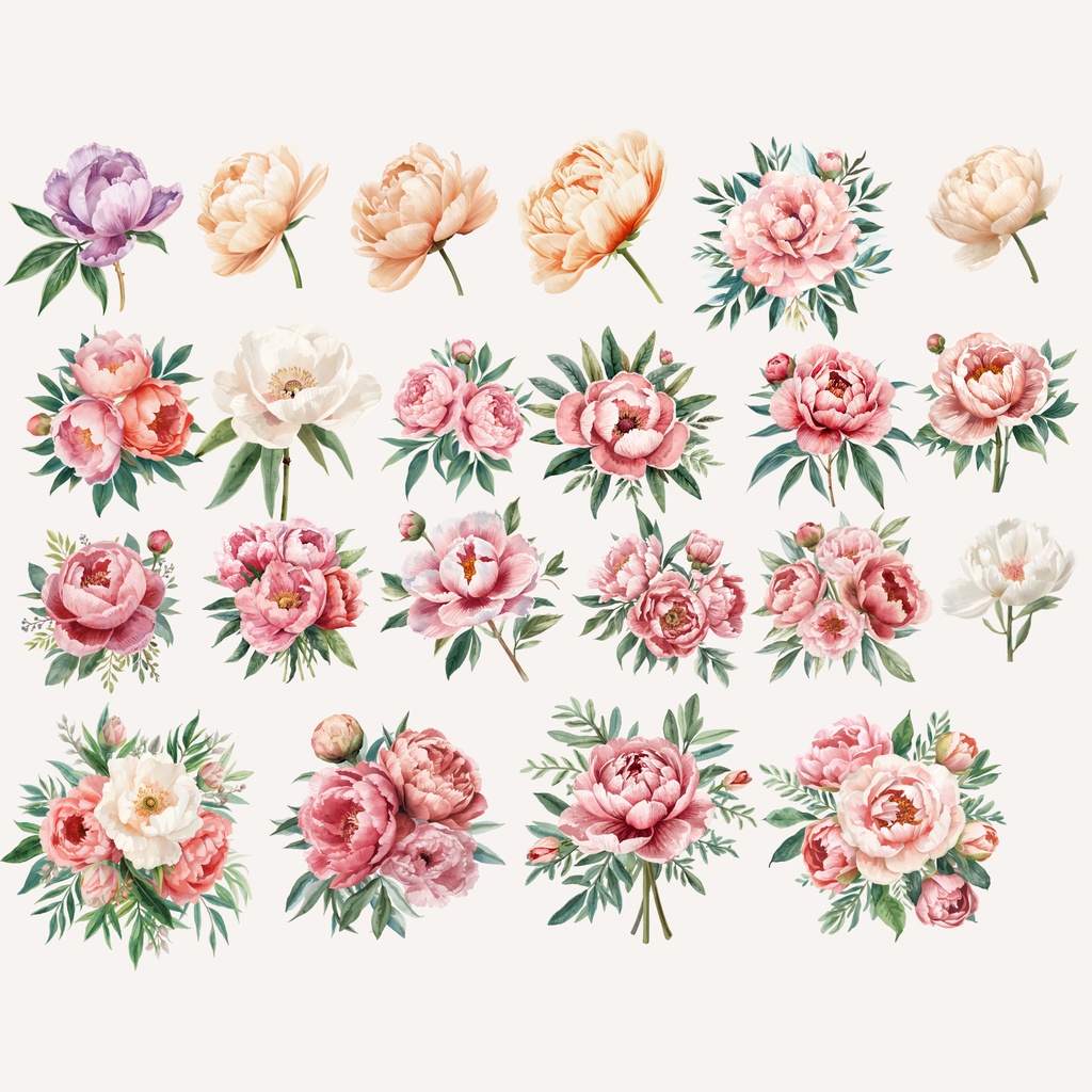 Peony Collection|水彩ピオニークリップアート120点|PNG透過素材集
