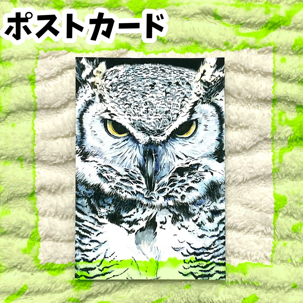 ポストカード「私、眼力強いって言われるんです。」　アメリカワシミミズク