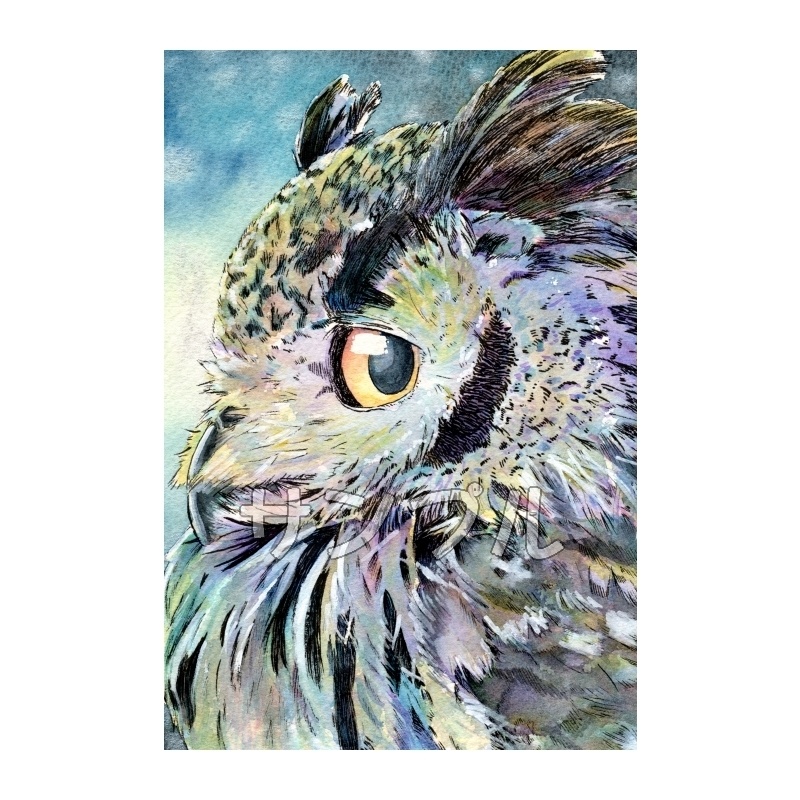 「いい夜ですね。」　ユーラシアワシミミズク