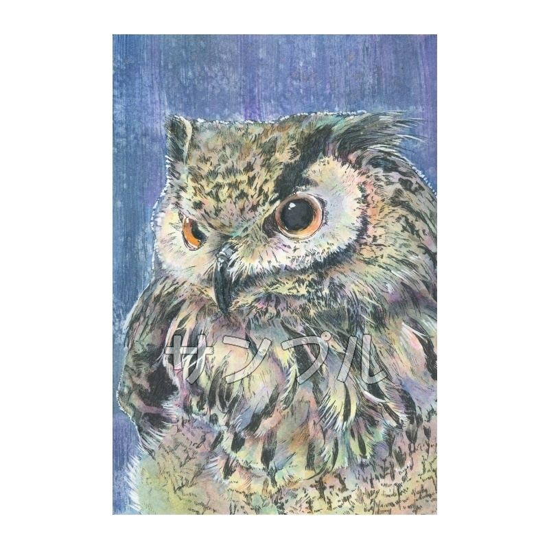 「雨が降った後は虹が出るんです」　ベンガルワシミミズク