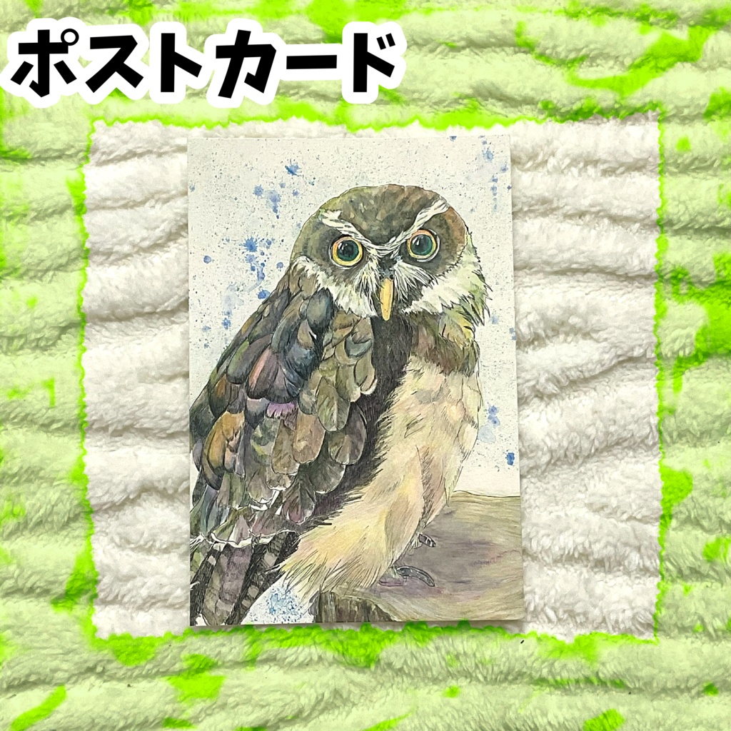 ポストカード「いい切り株してますね」　メガネフクロウ