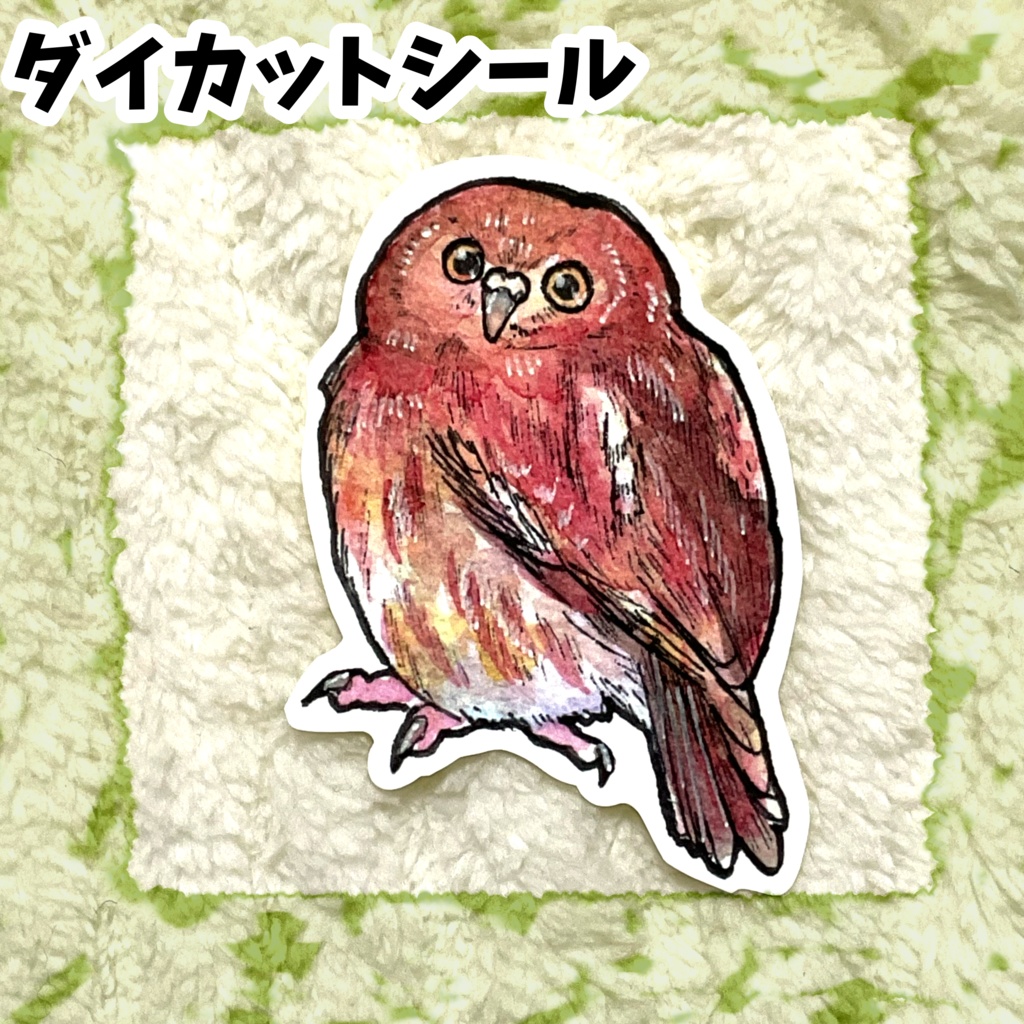 ダイカットシール　アカスズメフクロウ