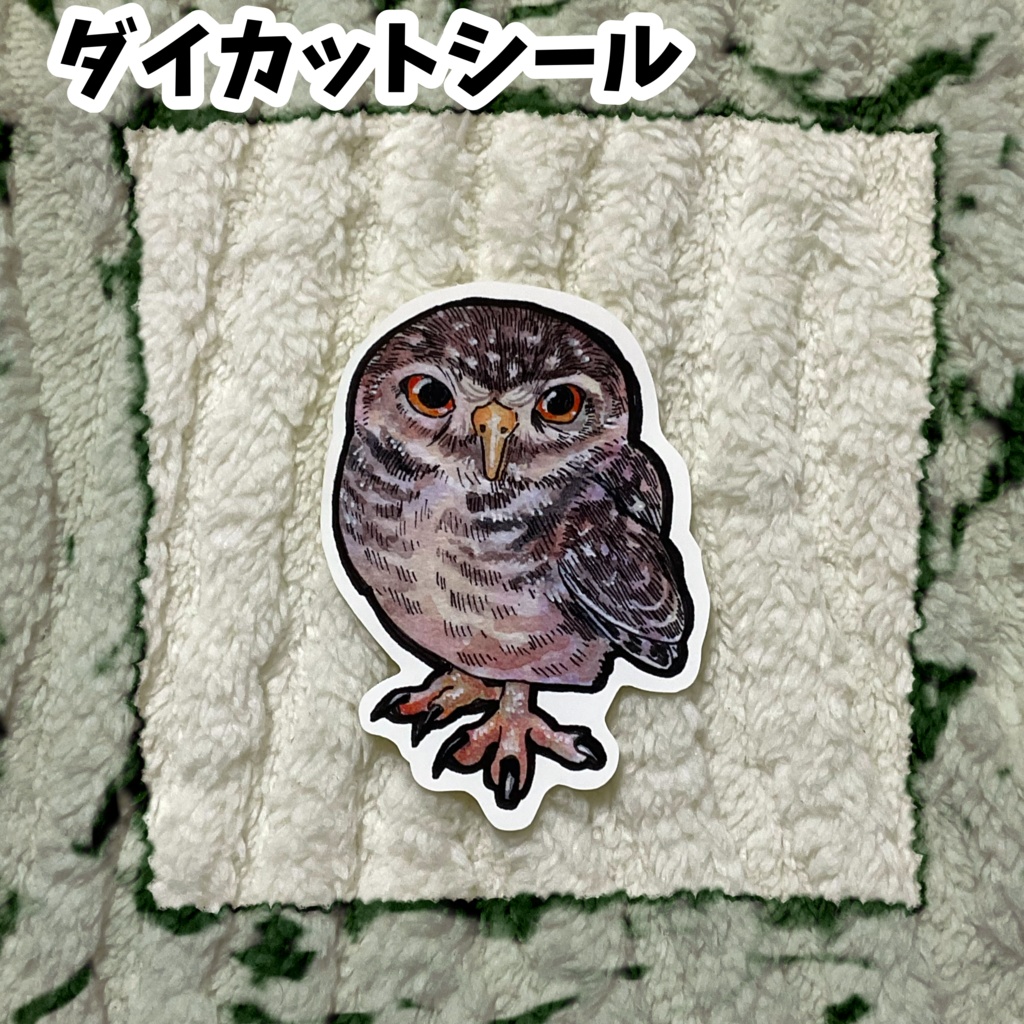 ダイカットシール　インドコキンメフクロウ
