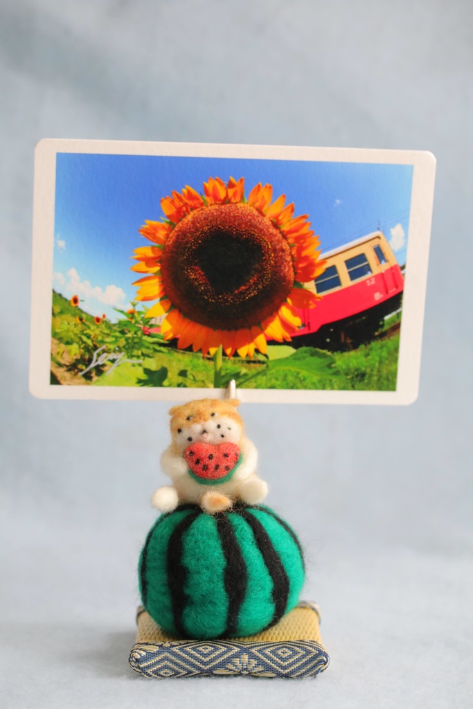 【スイカ猫太郎(茶白猫1号)】