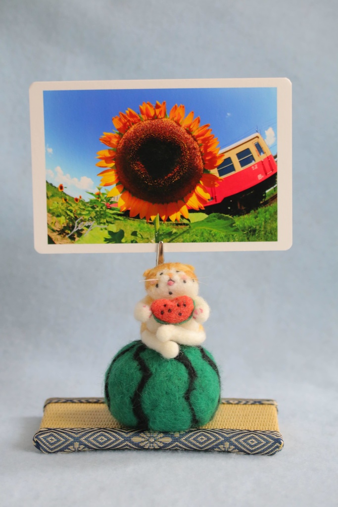 【スイカ猫太郎(茶白猫2号)】