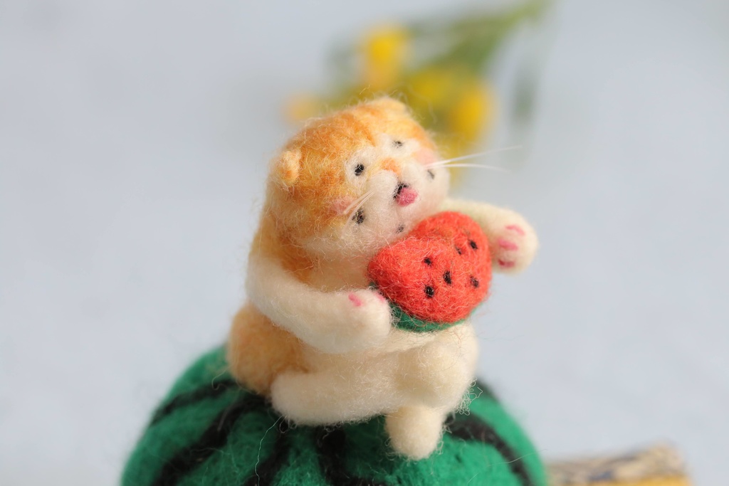 【スイカ猫太郎(茶白猫2号)】