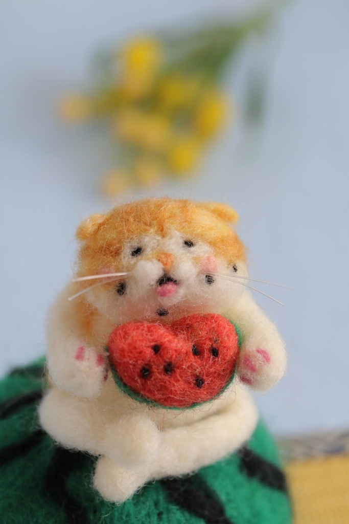 【スイカ猫太郎(茶白猫2号)】