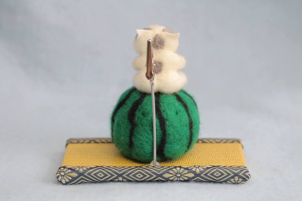 【スイカ猫太郎(サバ白猫)】