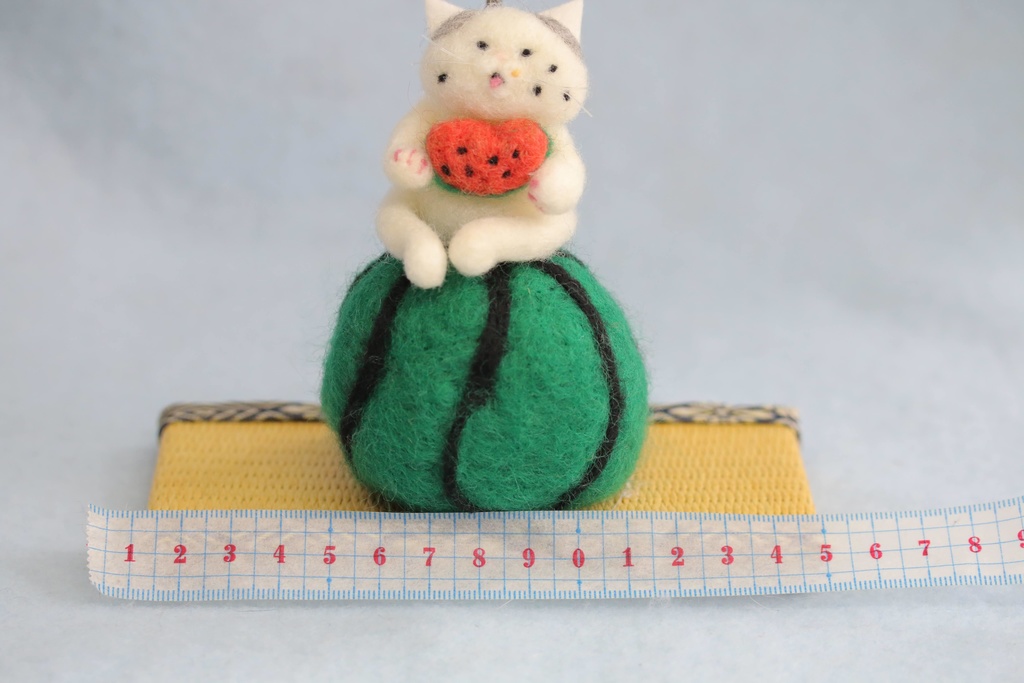 【スイカ猫太郎(サバ白猫)】