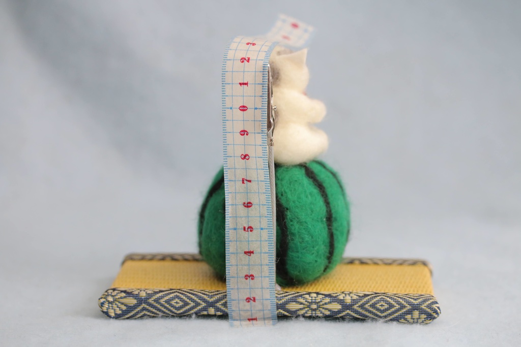 【スイカ猫太郎(サバ白猫)】