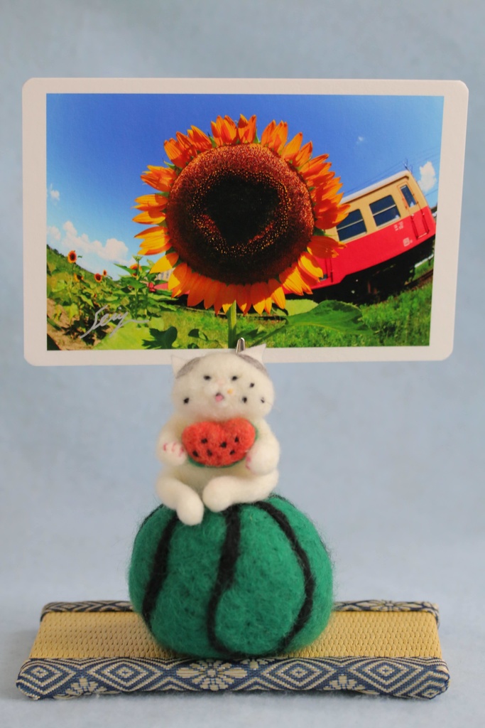 【スイカ猫太郎(サバ白猫)】