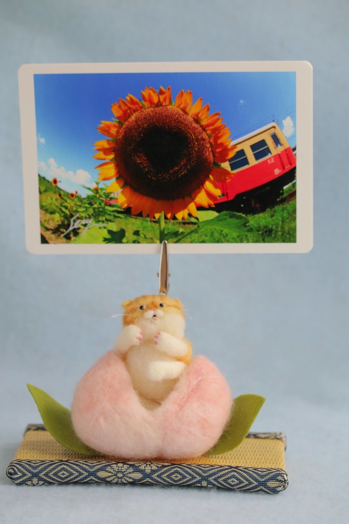 【桃太郎ねこ(茶白猫2号)】