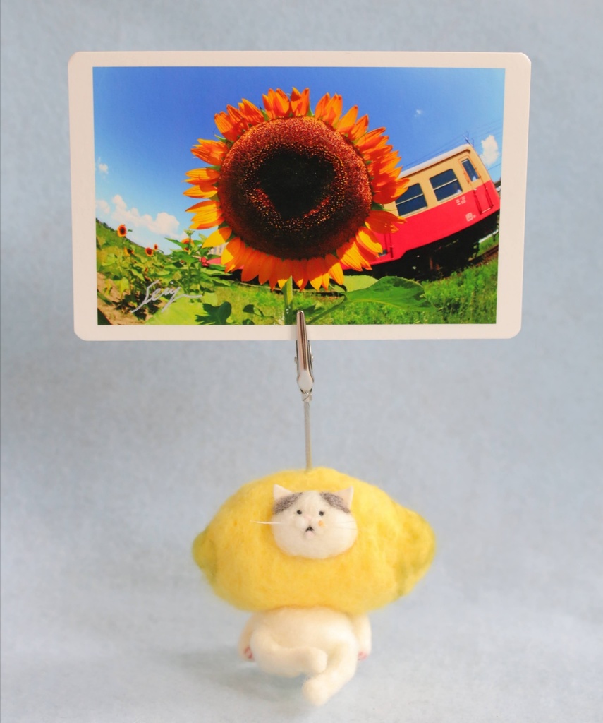 【ねこレモン(サバ白猫)】