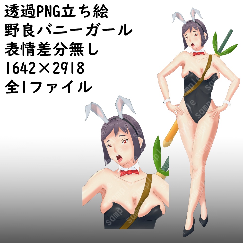 透過PNG立ち絵＿野良バニーガール＿表情差分無し