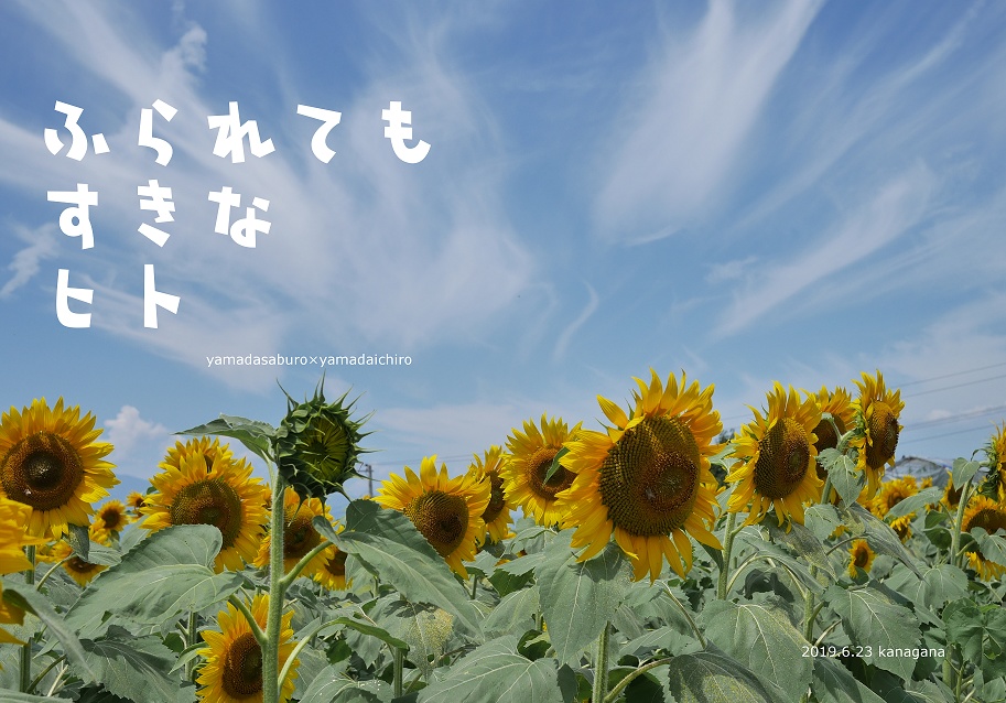 ふられてもすきなヒト