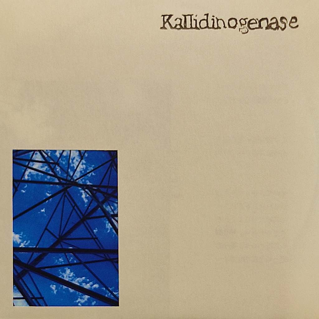 【委託販売】Kallidinogenase - S/T【自主制作CD-R】