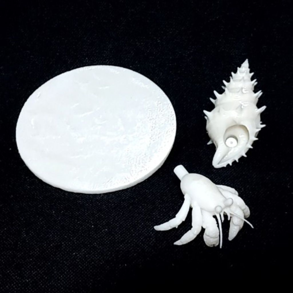 〈光造形3Dプリンタ出力レジンキット〉ヤドカリとかくれんぼカニさん