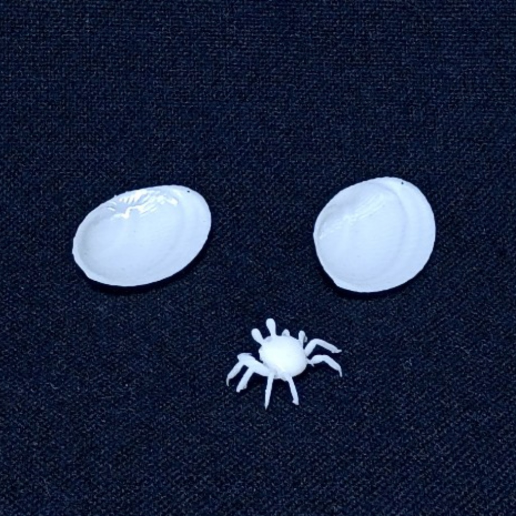 〈光造形3Dプリンタ出力レジンキット〉ヤドカリとかくれんぼカニさん