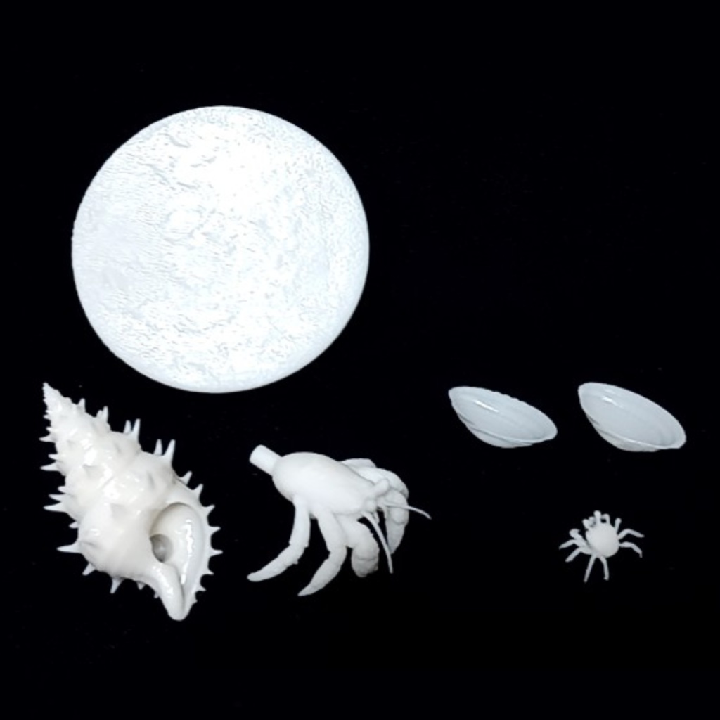 〈光造形3Dプリンタ出力レジンキット〉ヤドカリとかくれんぼカニさん