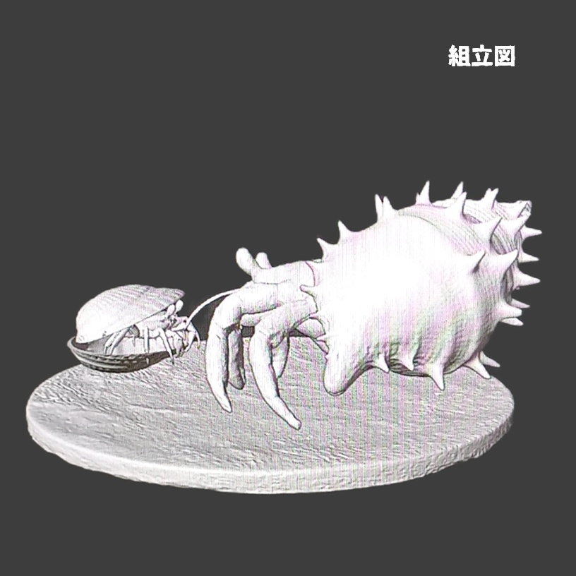 〈光造形3Dプリンタ出力レジンキット〉ヤドカリとかくれんぼカニさん