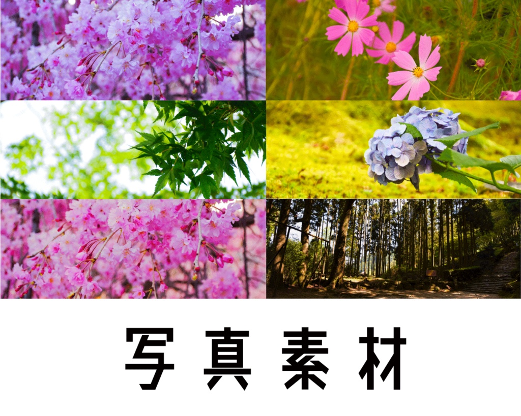 写真素材集　無料版あり