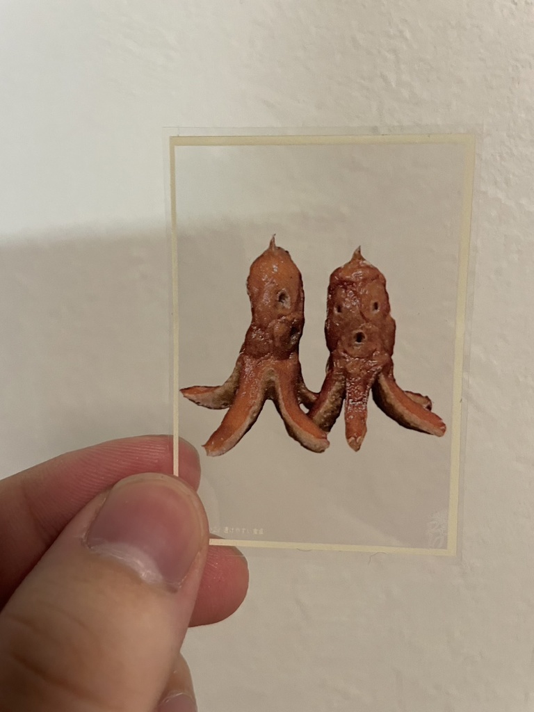 透けやすい1+2+ステッカー3枚セット