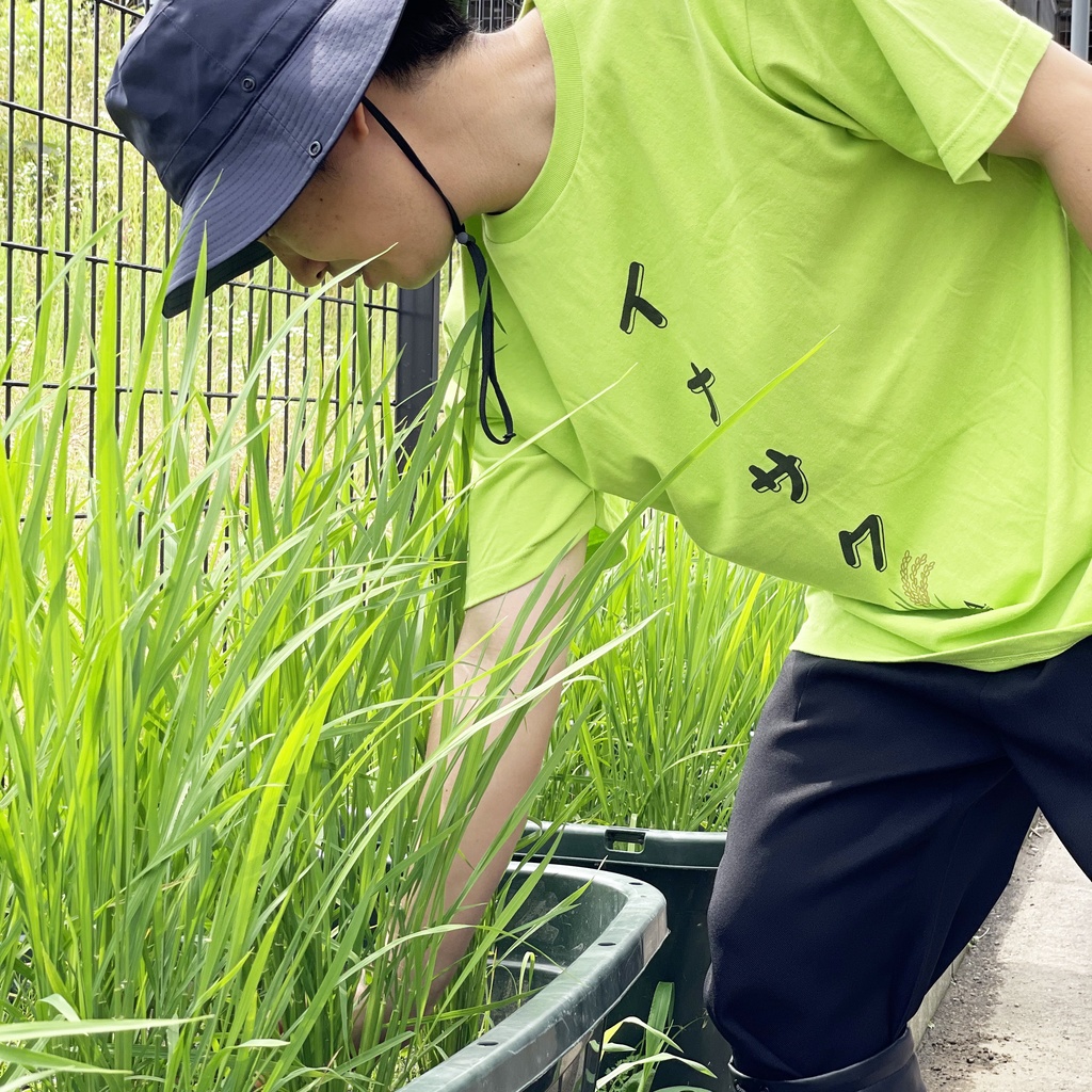 【豊年万策】イナサクT