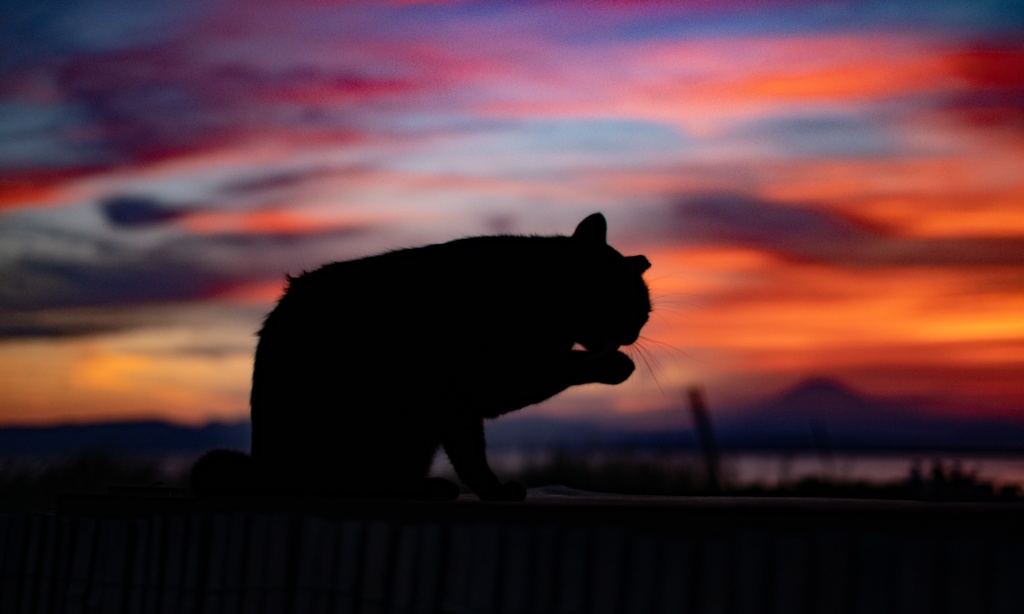 フリーBGM　『夕焼けに照らされて』