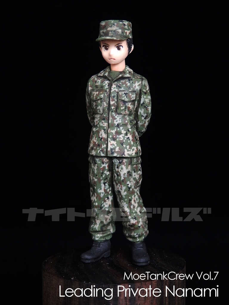 七海陸士長