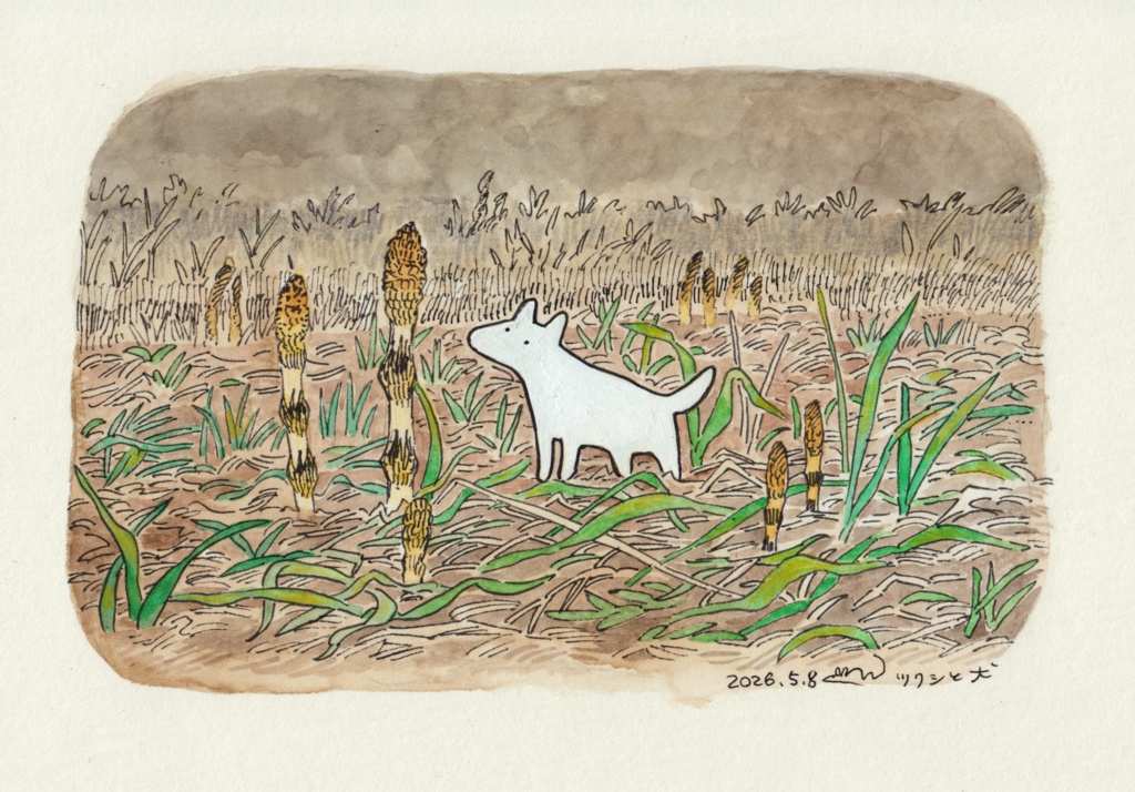 ツクシと犬（原画）