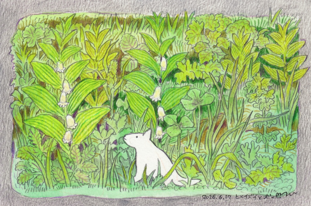 ヒメイズイと犬（原画）