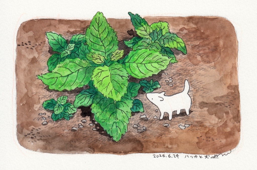 ハッカと犬（原画）