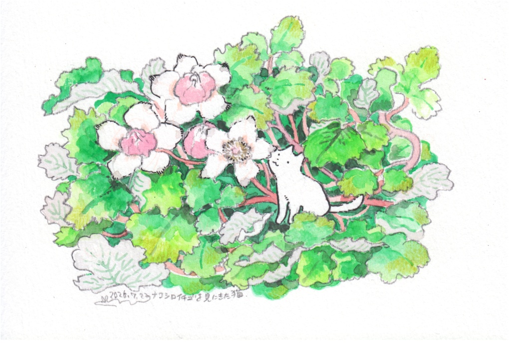 ナワシロイチゴを見にきた猫（原画）