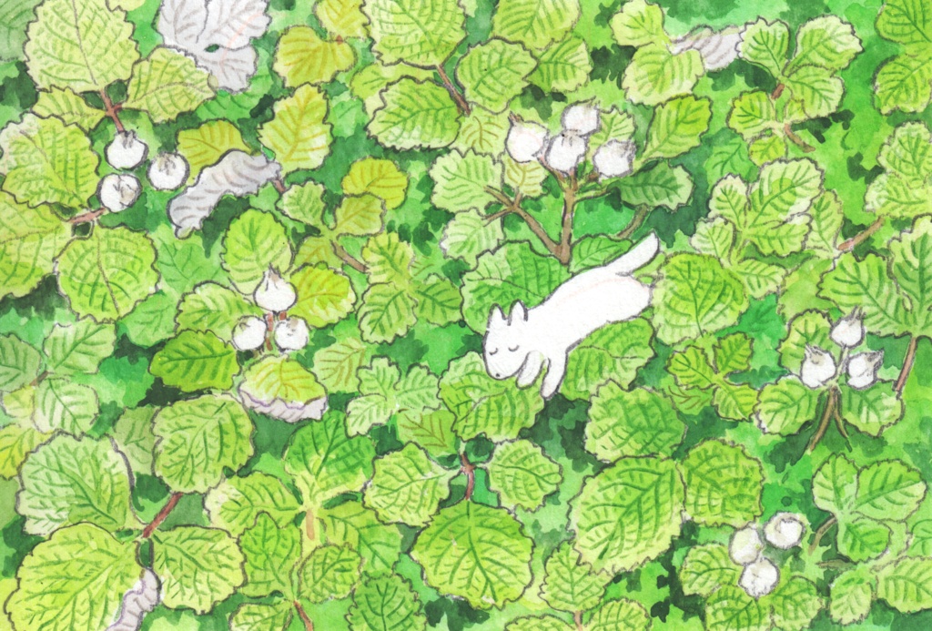 ナワシロイチゴと犬（原画）