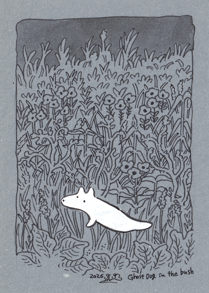 Ghost Dog シリーズ(原画)