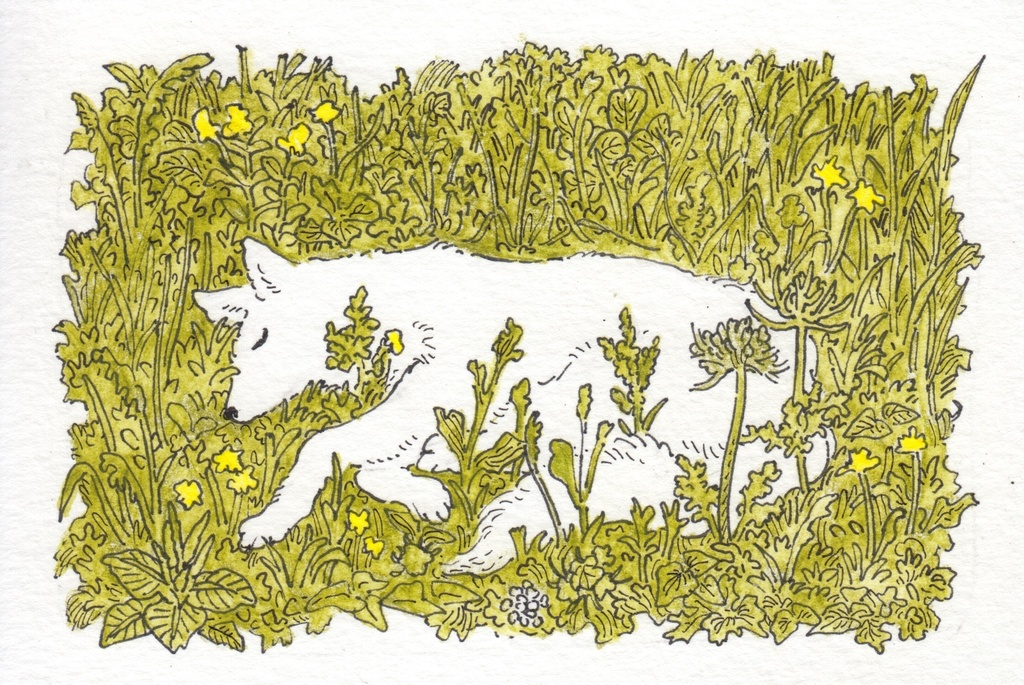 草むらの犬（原画）