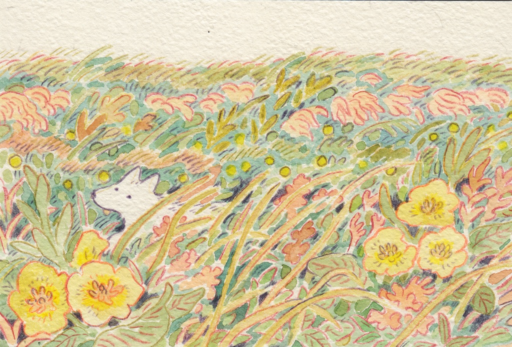 秋の草原の犬