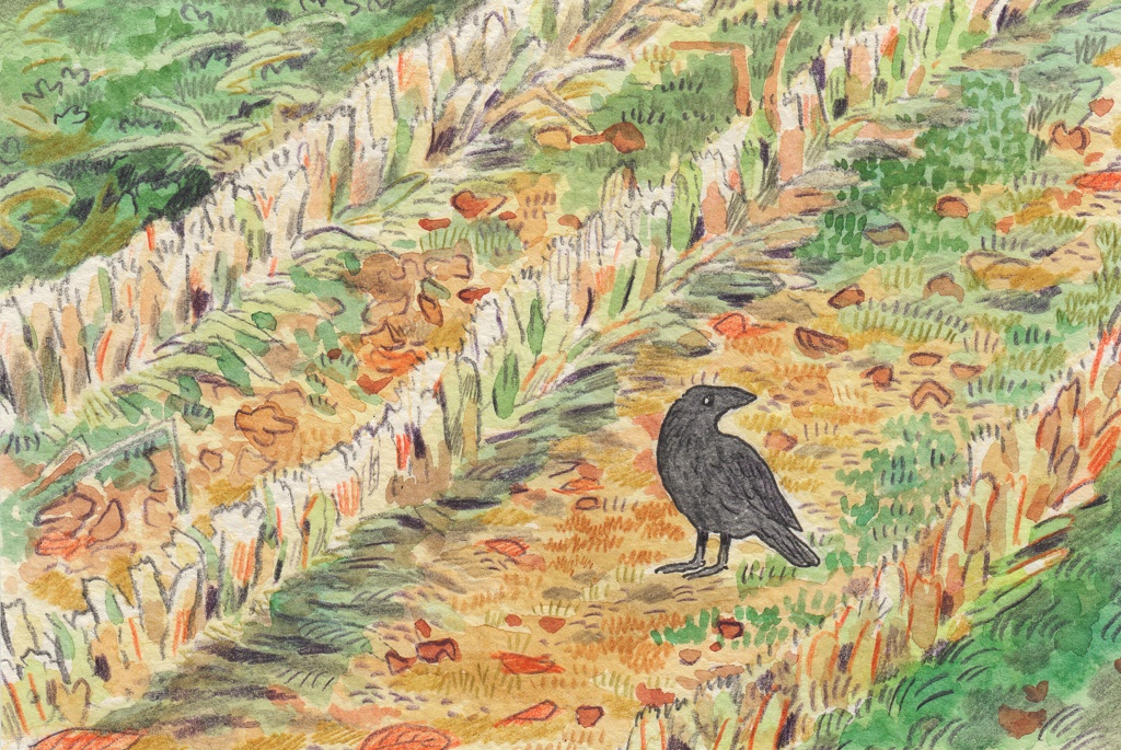コーン畑のカラス（原画）