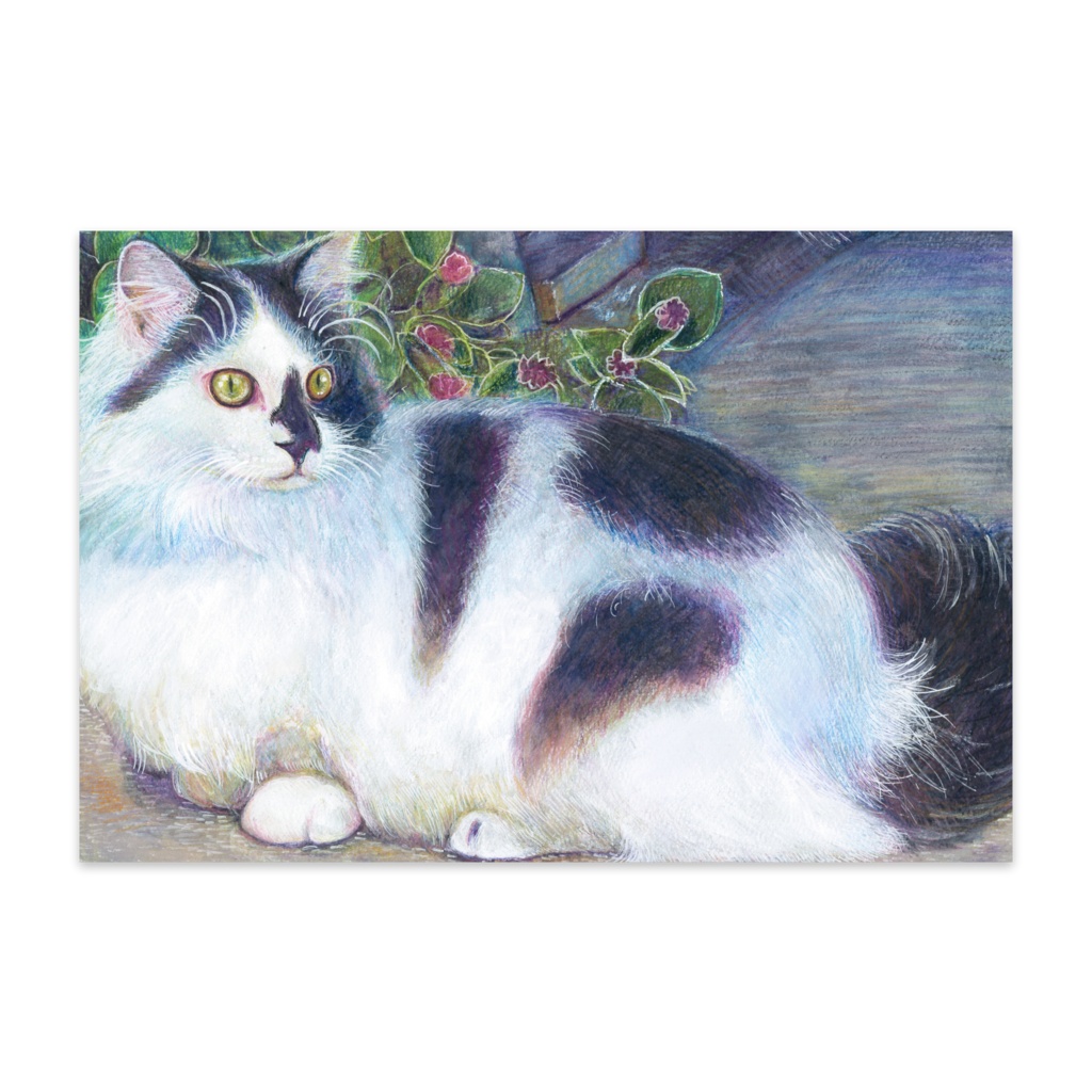 昼下がりのマンチカン。