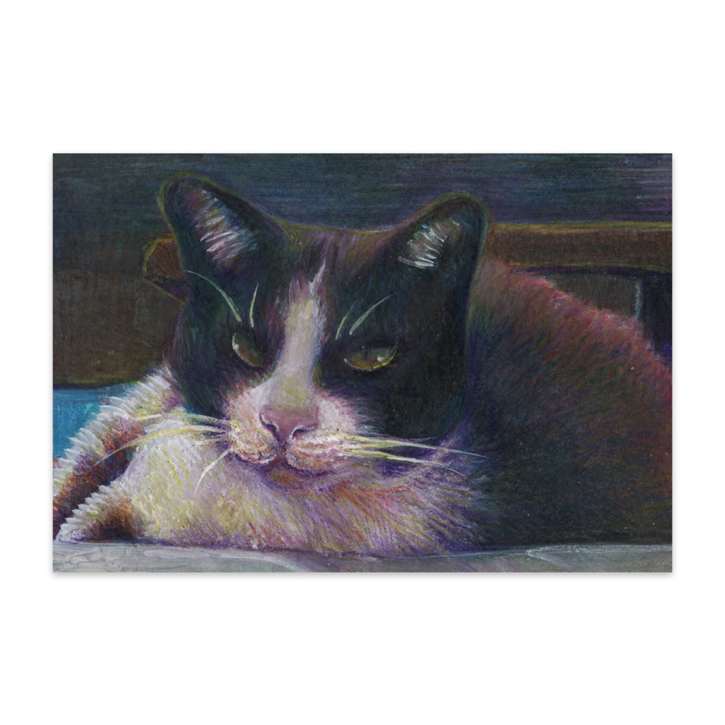 はちわれさんのお昼寝。