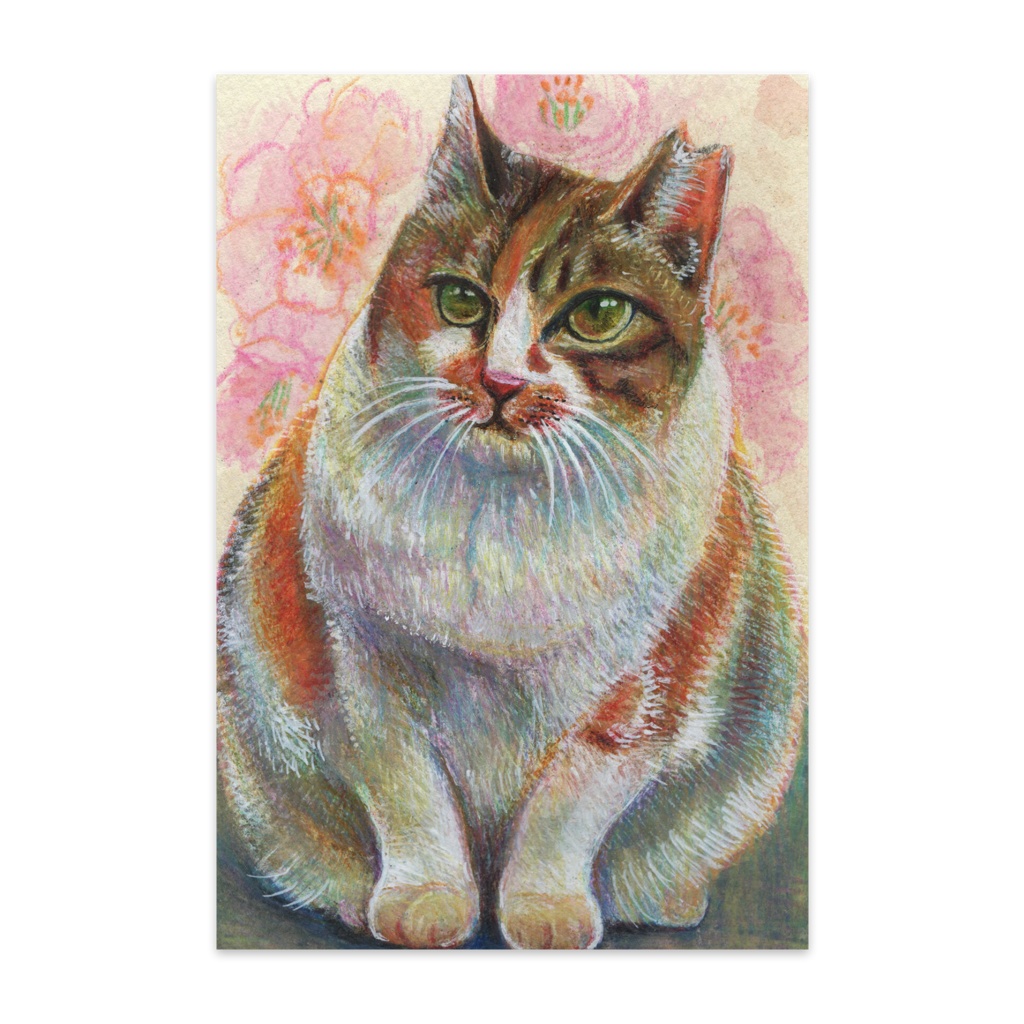 さくらねこさん。