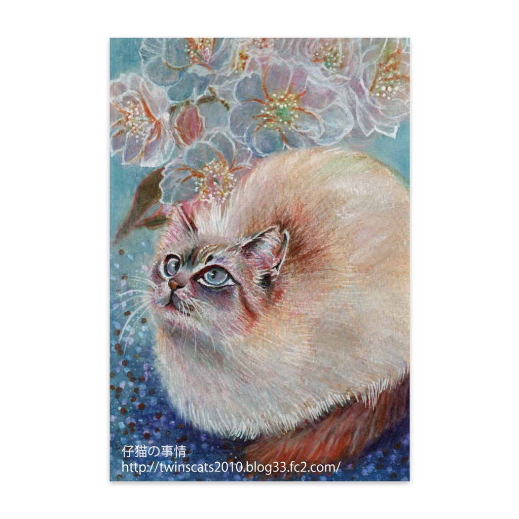ふわちゃんと桜。