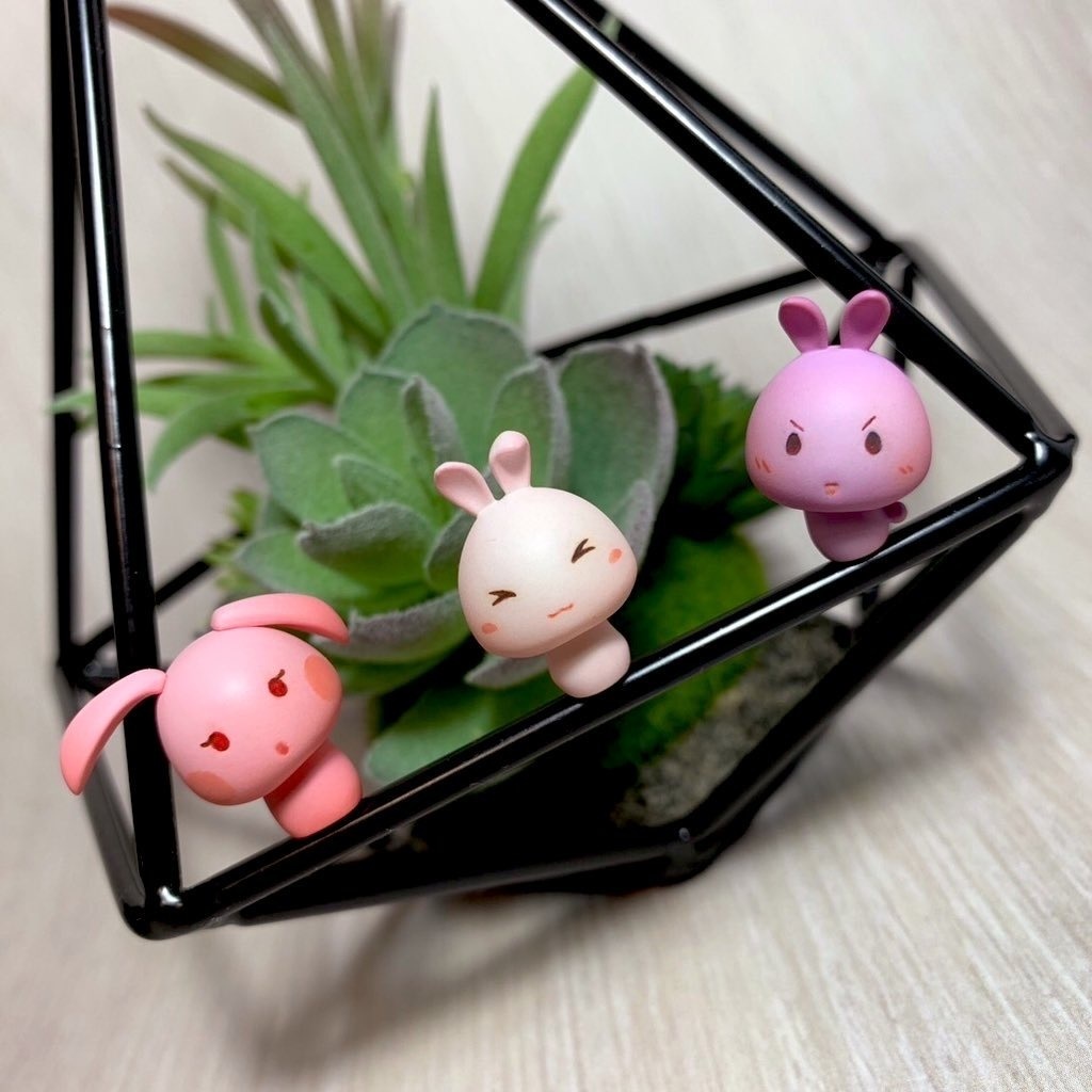 うさぎキノコたち