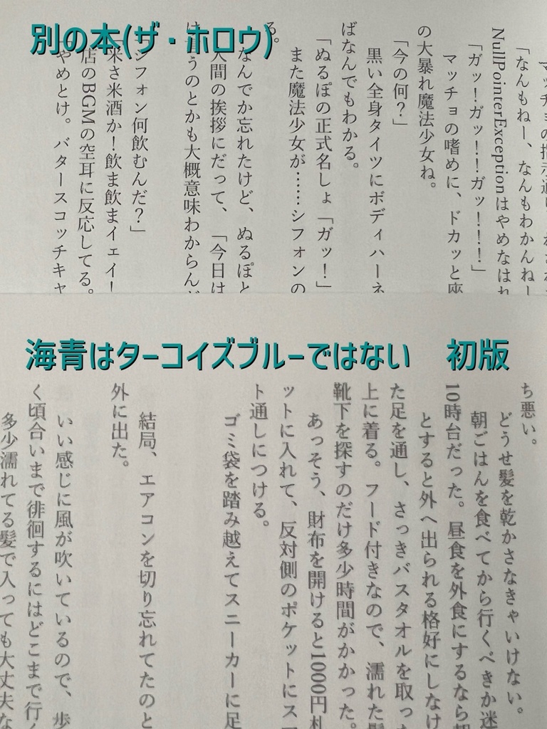 フリモメン小説「海青はターコイズブルーではない」