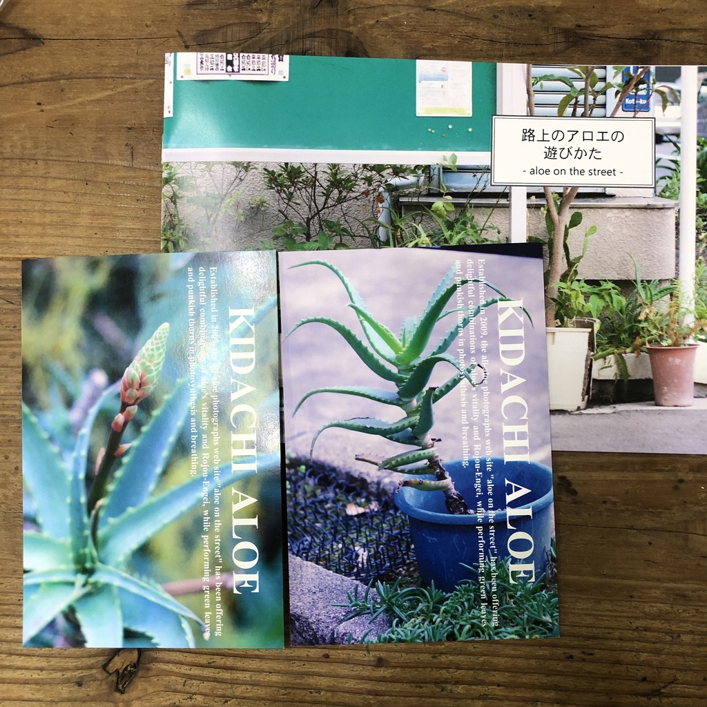 写真集「路上のアロエの遊びかた」ポストカード2枚セット