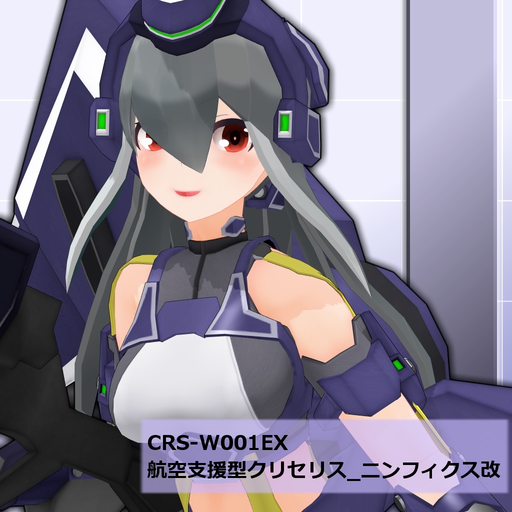 航空支援型クリセリス_ニンフィクス改