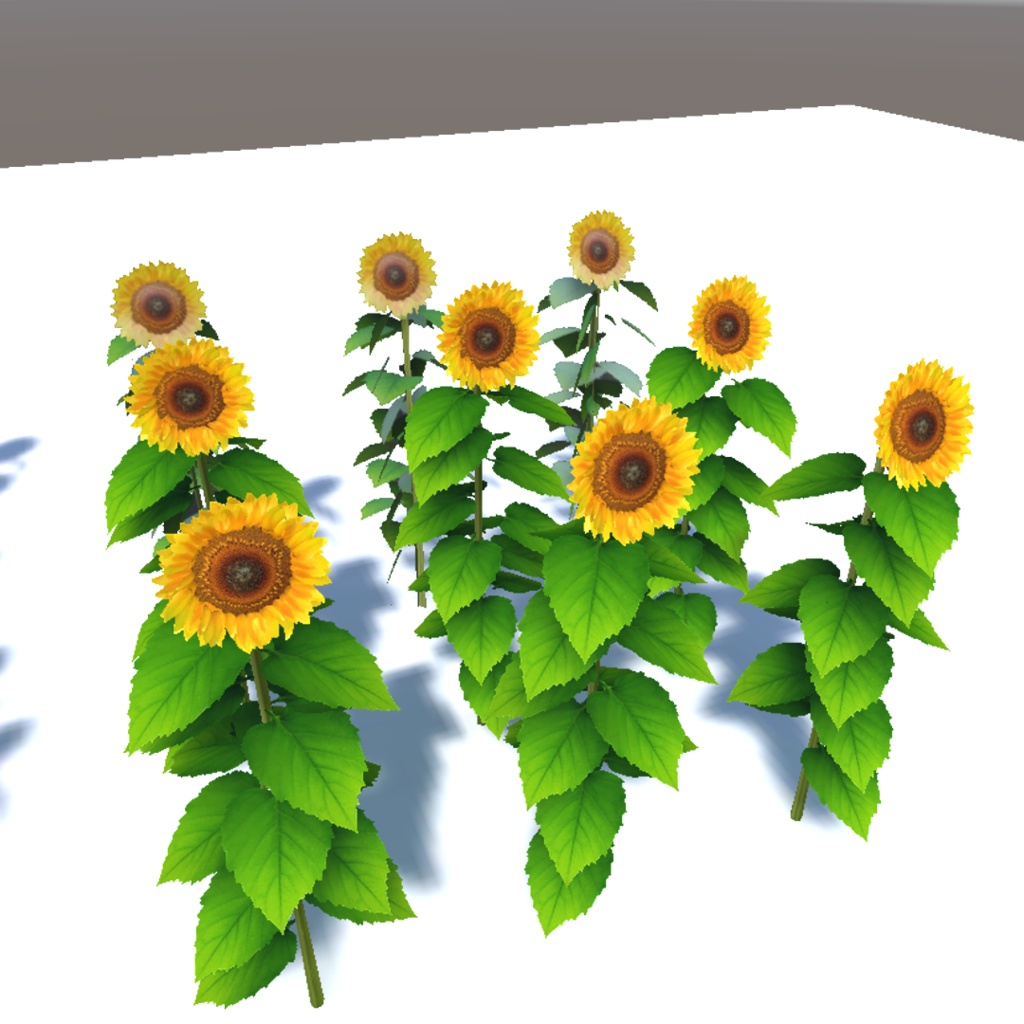 CQ Sunflower(VRChat向け ひまわりの3Dモデル)