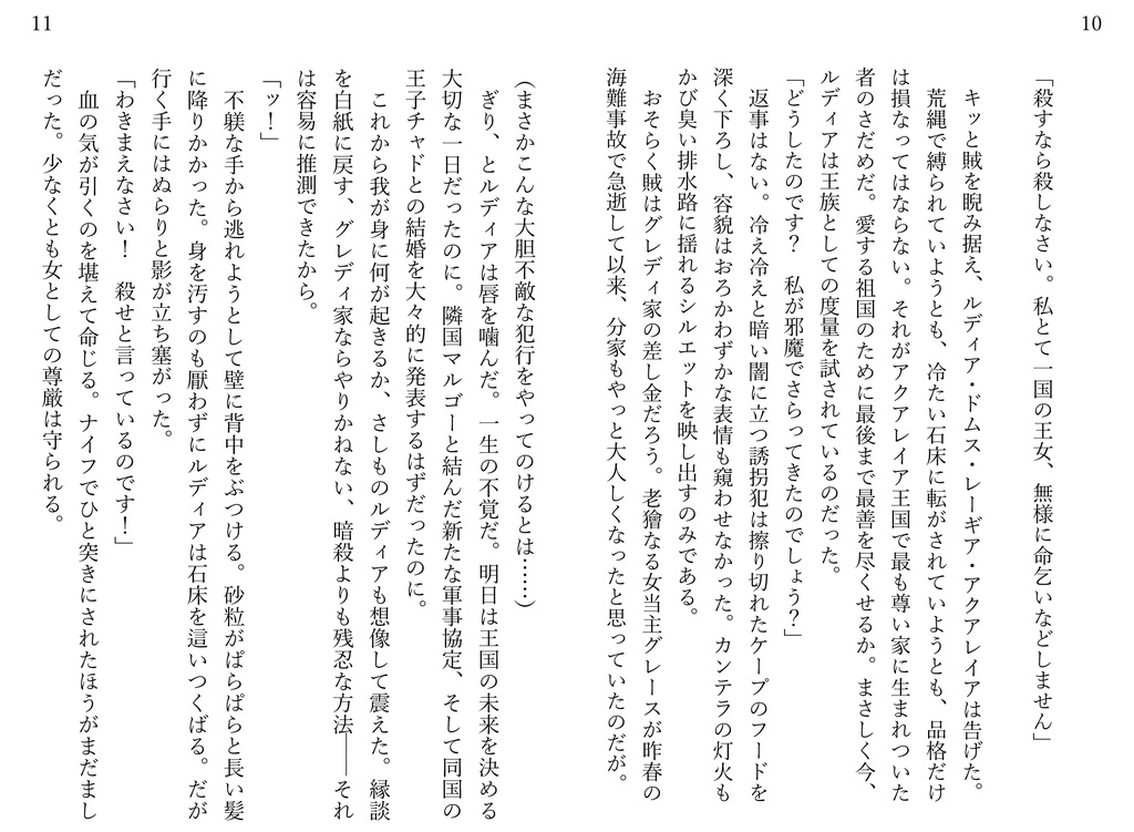 ルディアと王都防衛隊①