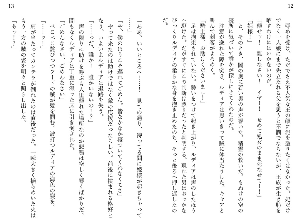 ルディアと王都防衛隊①